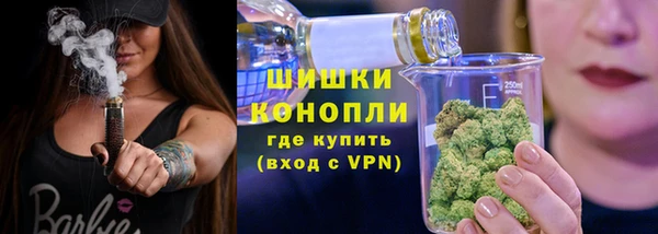 ешки Арсеньев