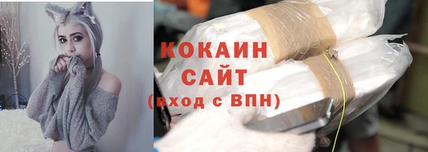 ешки Арсеньев