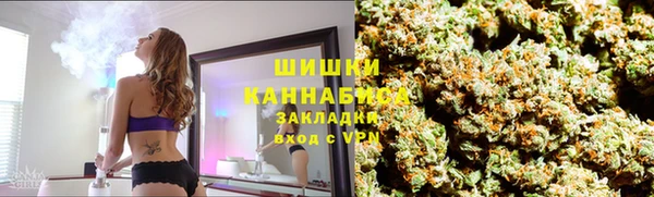 крисы Армянск