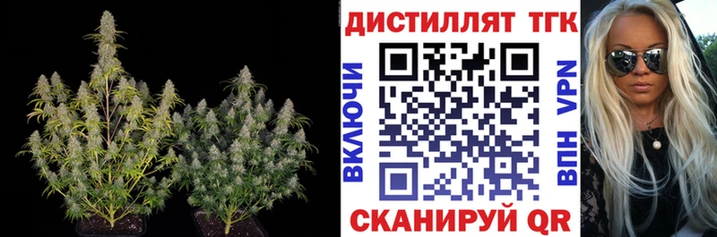 blacksprut ONION  Феодосия  Дистиллят ТГК THC oil  что такое наркотик 