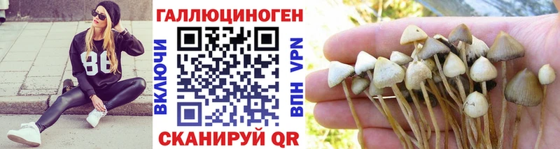 Псилоцибиновые грибы Cubensis  купить   Феодосия 